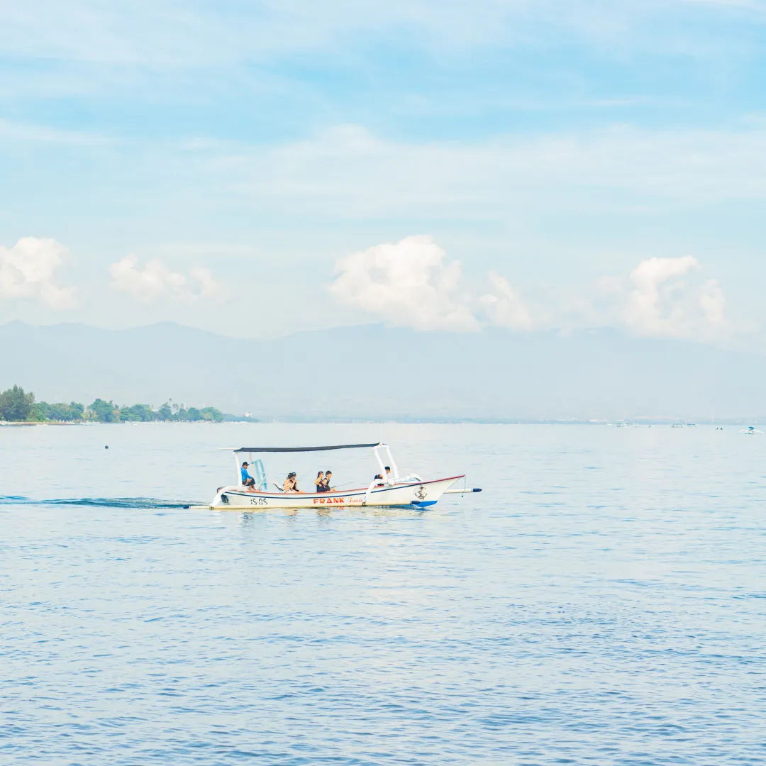 Dolphin Tour